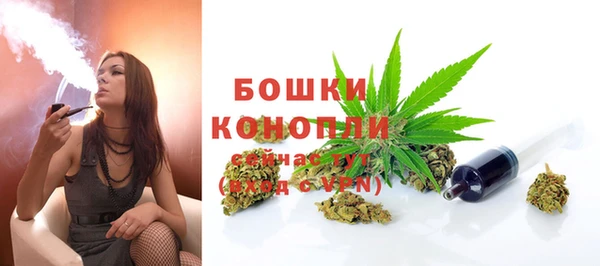 эйфоретик Новозыбков
