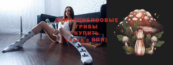 эйфоретик Новозыбков