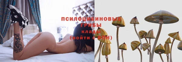 эйфоретик Новозыбков
