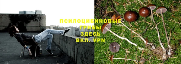 ALPHA-PVP Новодвинск