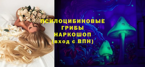 эйфоретик Новозыбков