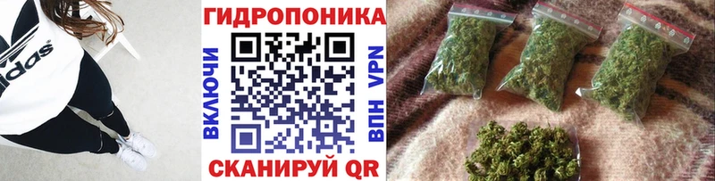Бошки марихуана марихуана  Южа 